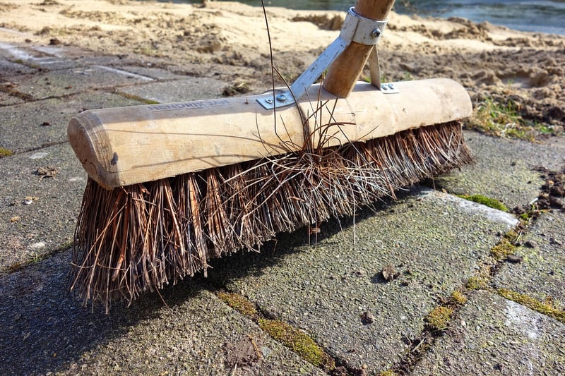 Fall Cleanup