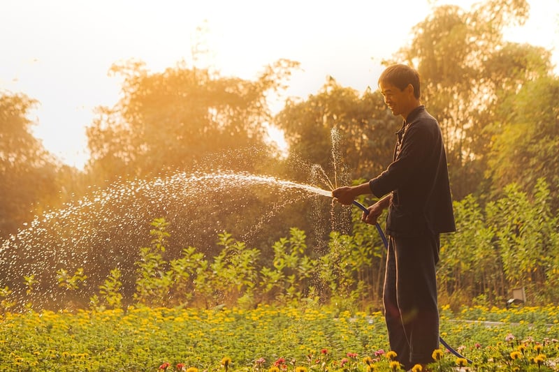 Watering garden