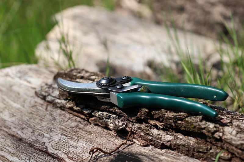 Pruning scissors